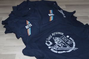 De Alcuinuspolo's